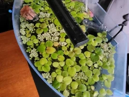Best Nano Tank Light?