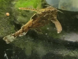 A few random pictures from the past week or so
