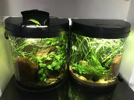 I need help choosing a new aquarium