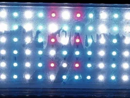 LED lighting vs fluorescent lighting.