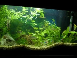 first good pics