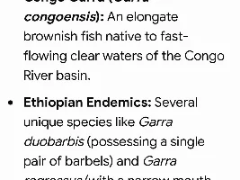I’ve been researching the more uncommon garras