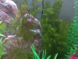 Yet Another New Guy