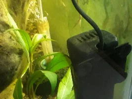 Here I go again 150 gallon reset.