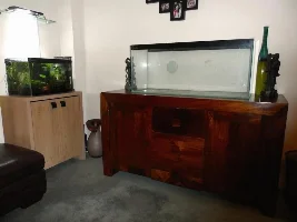 10 Gallon Endler & Shrimp Tank