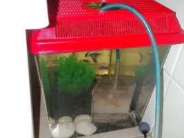 A 60Litre Named.. Aquapit..