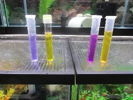 Have they discovered where bacteria magically appear from yet?