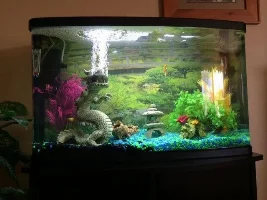 New Tank Help