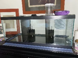 Prep for divided betta tank