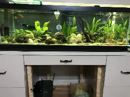 What 332 days do to an aquarium