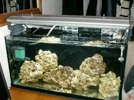 My Nano Reef Set-up/diary (upgraded 45g) Step-by-step