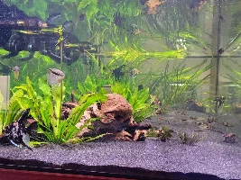 A few random pictures from the past week or so