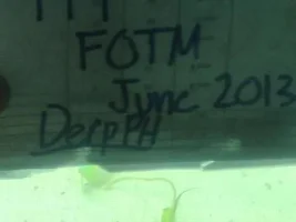 June 2013 - Fish Of The Month Competition Entries