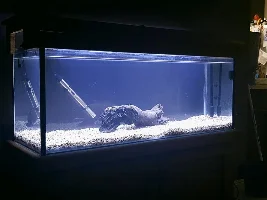 Marine Light for Tropical Plant Tank? + HEAT Concerns