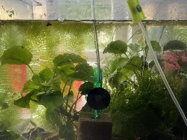Stocking a cube
