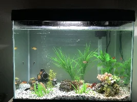 70 Litre Community Tank