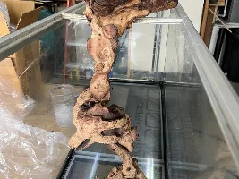 The great rebuild of my 55 gallon fish tank.