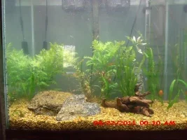 A Couple of Questions