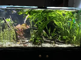 My 'big' tank