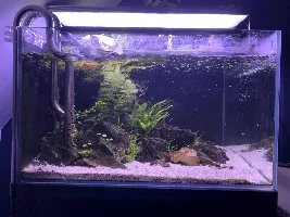 Aquascaper 600