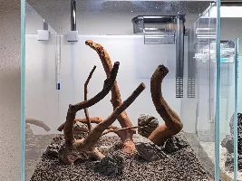 Starting over!