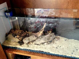 My nano build