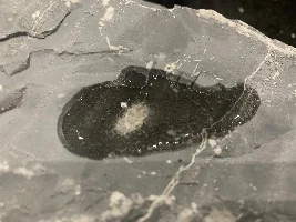 Do all PH raising rocks eventually result in the same PH levels?