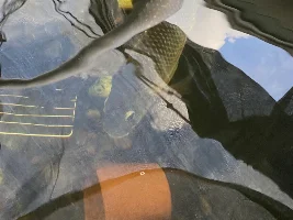 Can pond water be too clear?