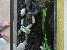29 gallon Betta tank