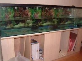 pics of my two tanks
