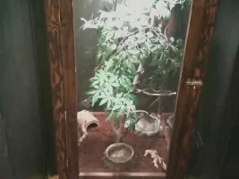 Not fish related, but still DIY...