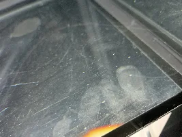 Help! White particles in tank multiplying and wont go away