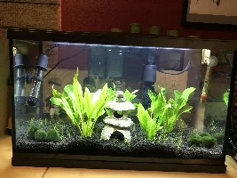 CO2 Advice