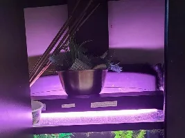 For fun - Open your secret shame! - tank stand storage