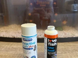 New fish owner help!!!