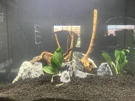 Returning to the hobby after a long absence