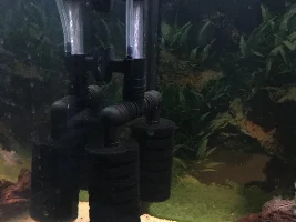 Sponge filter question