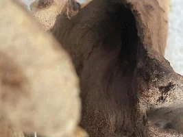 Is driftwood safe for Betta?