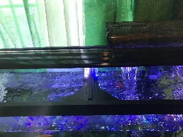 How can o cover my 55g tank