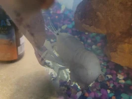 New and needing help!