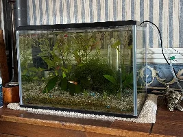 Water change thread. Another one?