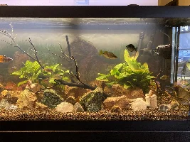 My new 125 gal setup