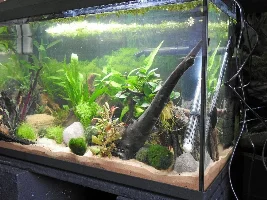 What’s a safe colored sand for aquariums?