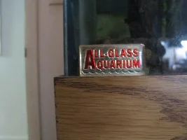 Uneven Corners on Rimmed Tank - Trim Issue?
