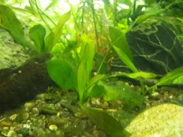 Here I go again 150 gallon reset.