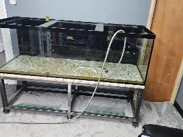 Had to reduce my tank size but still happy :)