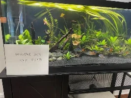 VOTE NOW: November 2025 Tank of the Month Contest (31 US gallons and larger)