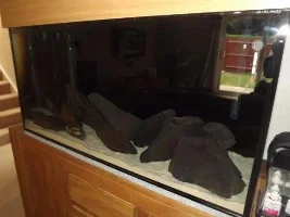 Nd Aquatics Mbuna Build