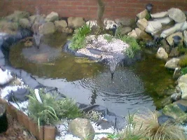 My shiny new tank