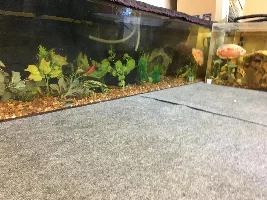 Hopefully pictures will work here...